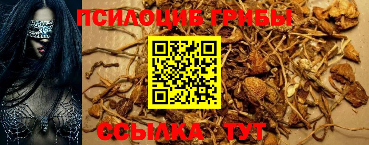 Галлюциногенные грибы Magic Shrooms Сочи